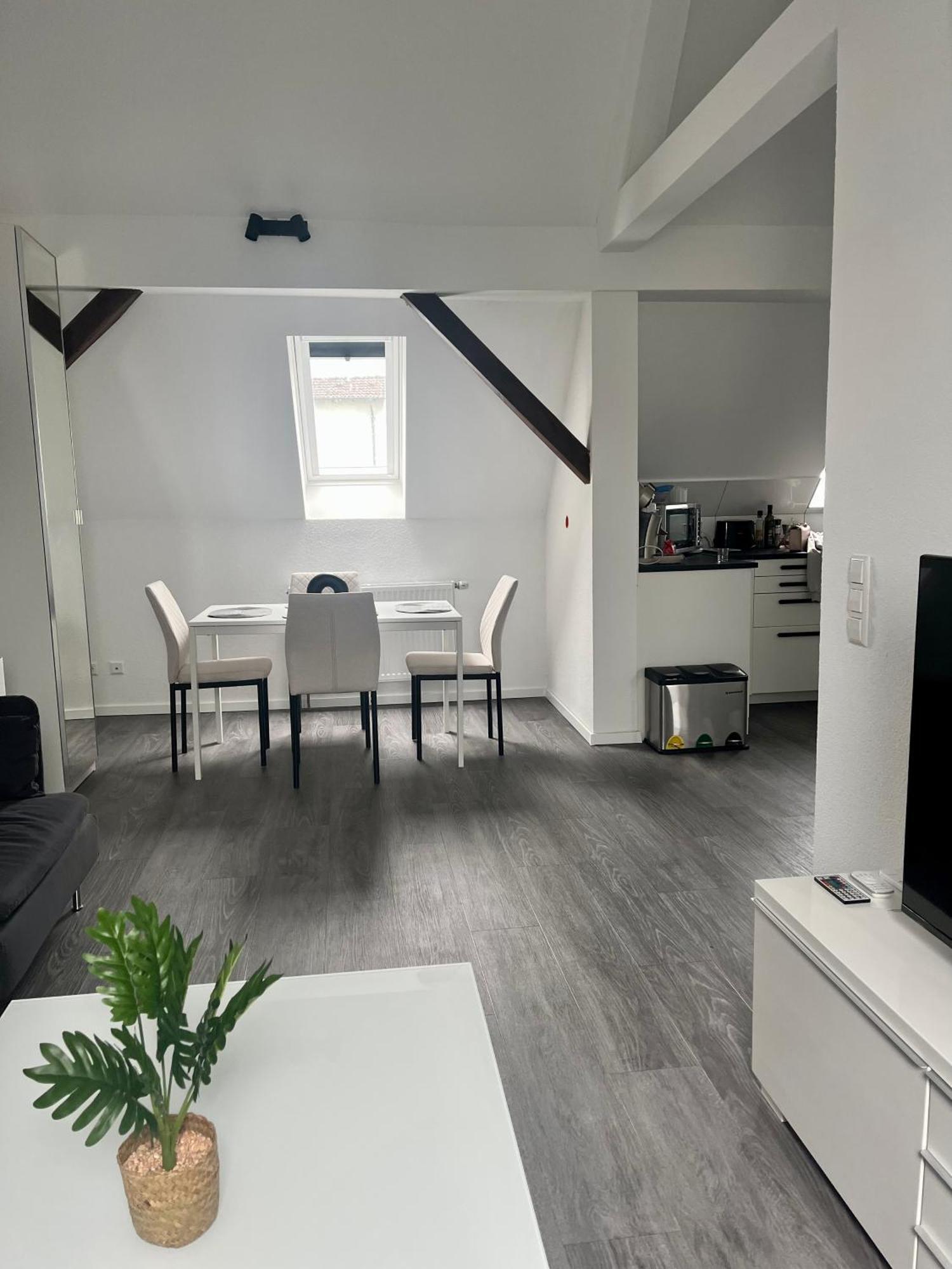 Rk-Lounge,2- Zimmer Wohnung - Modern Und Stylisch Baden-Baden Zewnętrze zdjęcie